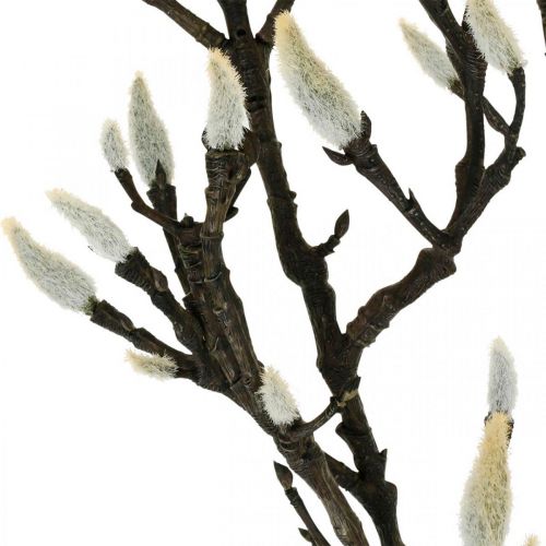 kohteita Keinotekoinen magnoliaoksa Kevätkoristeluoksa silmuilla Ruskea Valkoinen L135cm