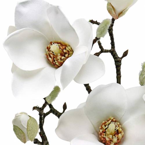 kohteita Magnoliaoksa valkoinen Koristeoksa magnolian tekokukka