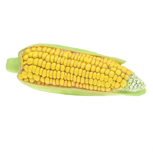Floristik24 Corncob Art Vihannes 20cm