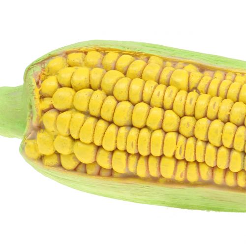 Floristik24 Corncob Art Vihannes 20cm