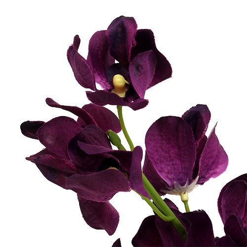 Mokara orkidea violetti 50cm keinotekoinen 6kpl