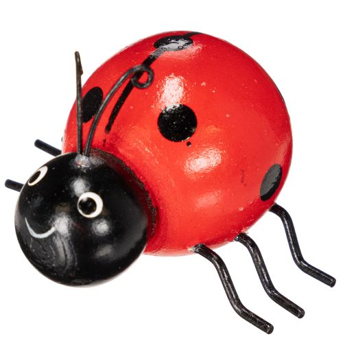 kohteita Puisia leppäkerttuja/onnentuojia söpöinä kodin koristeina, 5 cm, 6 kpl