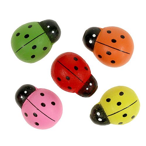 Leppäkerttu värikäs 2,5cm 60kpl