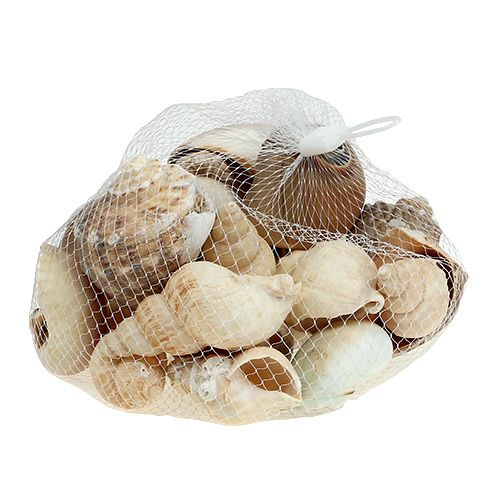 kohteita Maritime deco shell mix nature 400g