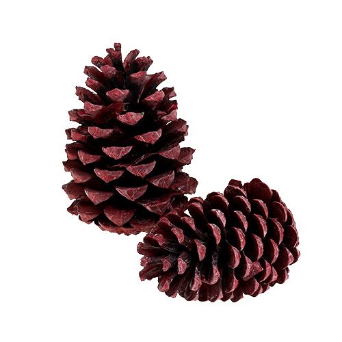 kohteita Maritima käpyjä 10-15cm punainen himmeä 12 kpl