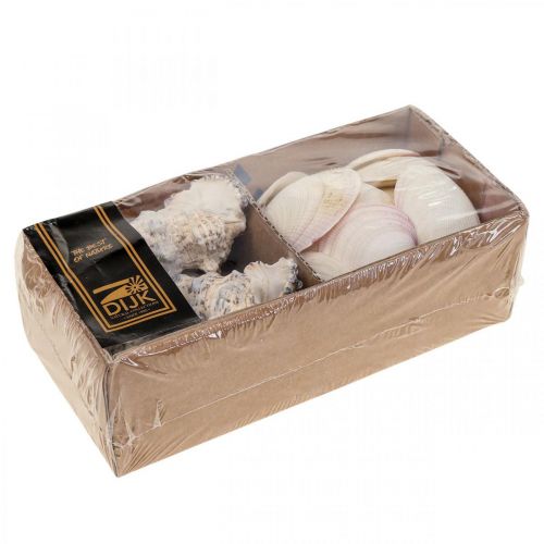 Floristik24 Merikoristekuoret Etanankuoret Streudeko 600g