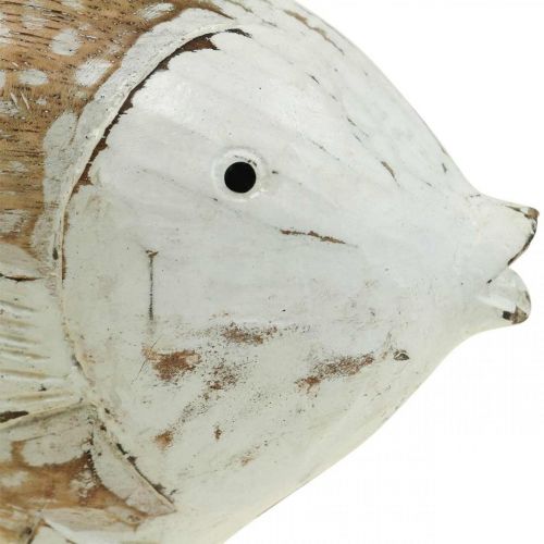 Floristik24 Merikoristelu kalapuuta puinen kala nuhjuinen chic 28×15cm