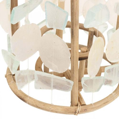 Floristik24 Merikoristelyhty Capiz puulasi luonnollinen Ø17,5cm K34cm