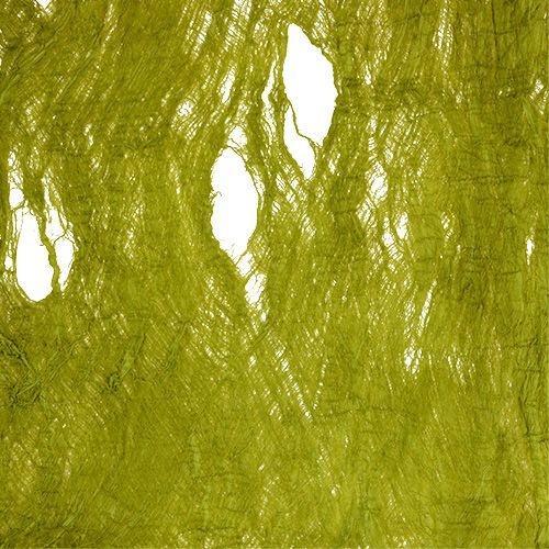 Floristik24 Mulperipuun kuori omenanvihreä 250g