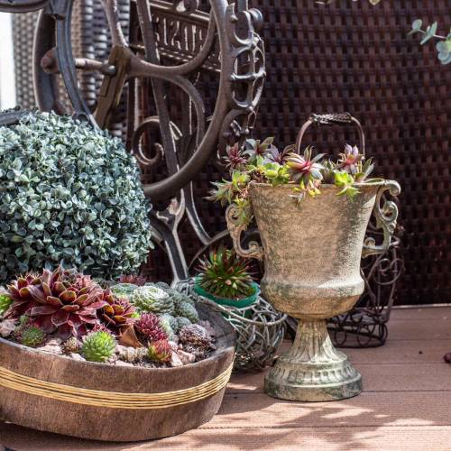 Floristik24 Metallikuppi pikarin sammalvihreä beige Ø16cm K24cm