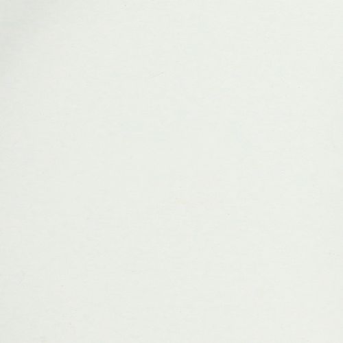 kohteita Tarjotin käytännöllisillä kahvoilla monipuoliseen käyttöön kotona ja pitopalvelualalla, 22 cm