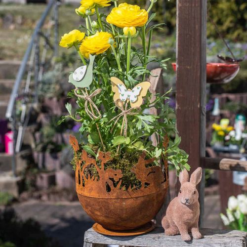 Floristik24 Metallikulho kanilla, pääsiäiskoristeet, istutusastia patinan istuttamiseen Ø18cm K19,5cm