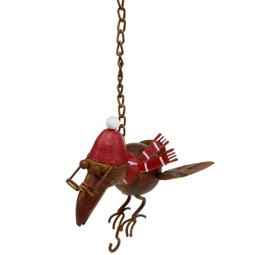 Floristik24 Lintu lentävä ruoste 30,5 cm