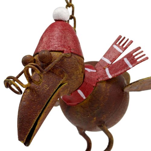 Floristik24 Lintu lentävä ruoste 30,5 cm