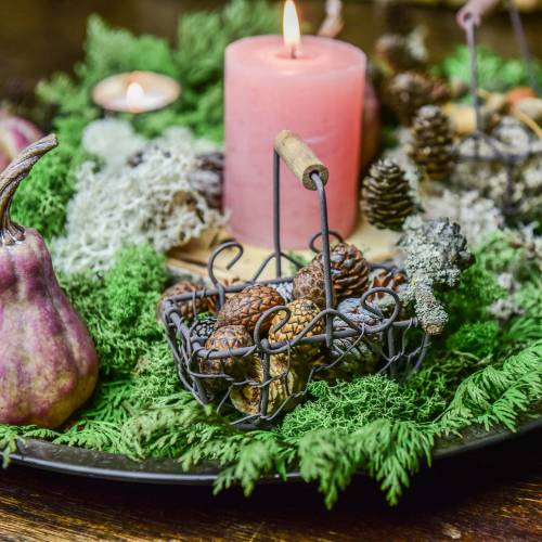 Floristik24 Minilankakorivariaatio puisella kahvalla, ruosteenruskea, K10,5-11,5cm, 9 kpl