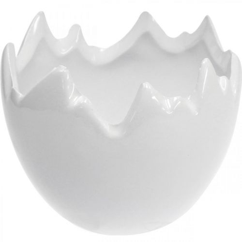Floristik24 Minikasviruukku munankuori valkoinen Ø8cm K7cm 4kpl