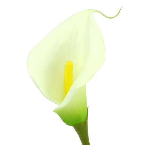 kohteita Mini calla tekovalkoinen L 28cm 12 kpl
