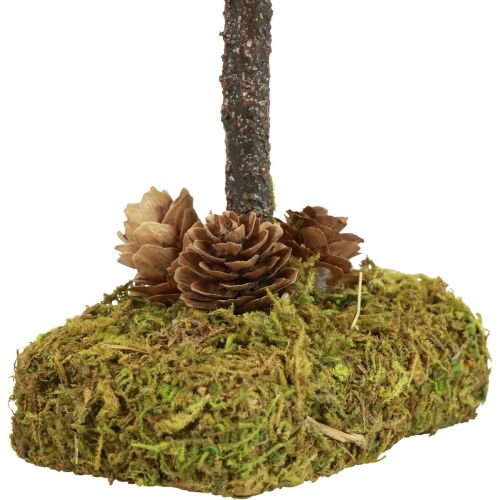 Floristik24 Pieni joulukuusi pöytäkoriste sammalpuu H30,5cm