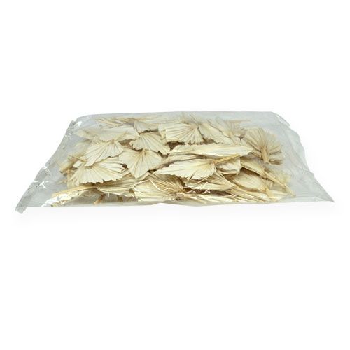 Floristik24 Palm Spear mini short valkaistu 50 kpl