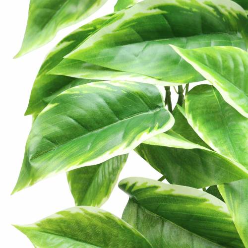 Floristik24 Valkoinenreunainen Funkie keinotekoinen vihreä, valkoinen 100cm