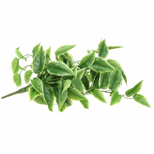 Floristik24 Valkoinenreunainen Funkie keinotekoinen vihreä, valkoinen 100cm