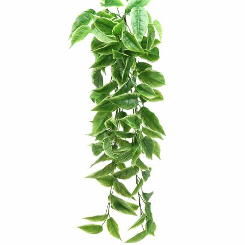 Floristik24 Valkoinenreunainen Funkie keinotekoinen vihreä, valkoinen 100cm