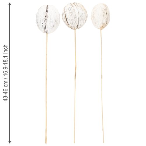 kohteita Mintolla pallo tikkusekoituksella kalkittu 6 kpl