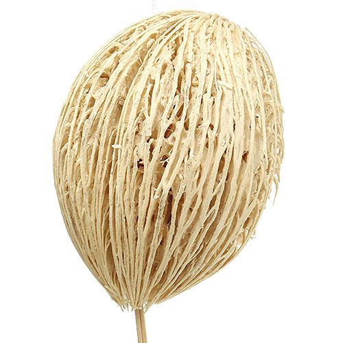 kohteita Mintolla-pallo valkaistu 8cm - 10cm L46cm 6 kpl