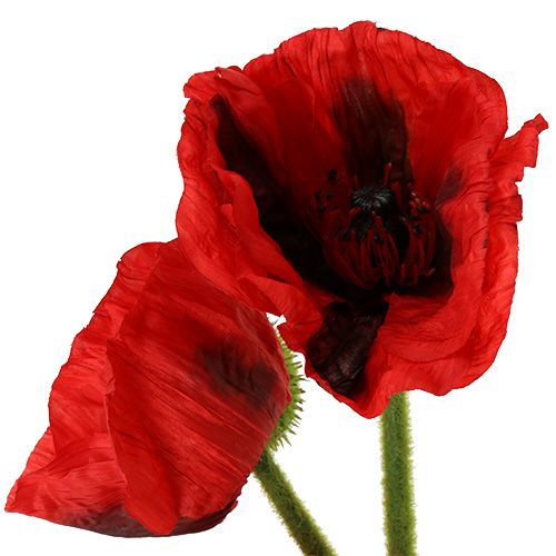 kohteita Unikonpunainen 58cm - 74cm 3 kpl