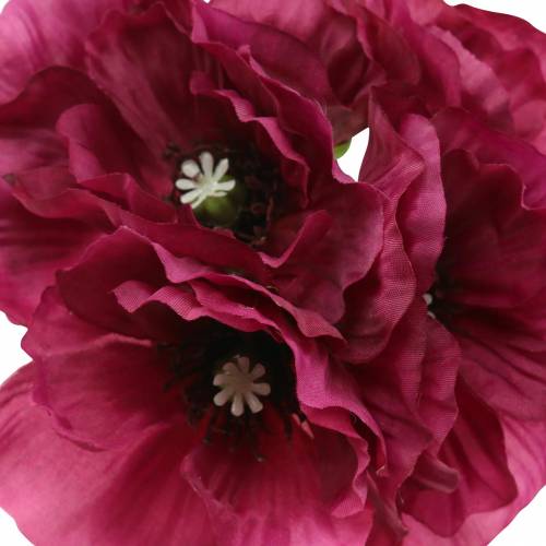 Floristik24 Unikon violetti 29cm 6kpl