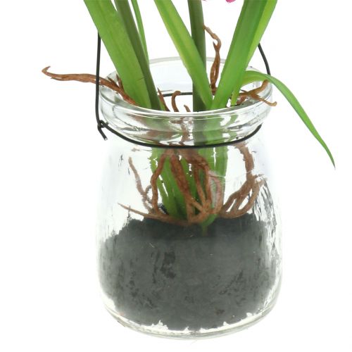 Floristik24 Unikko lasissa roikkumaan vaaleanpunainen H22cm