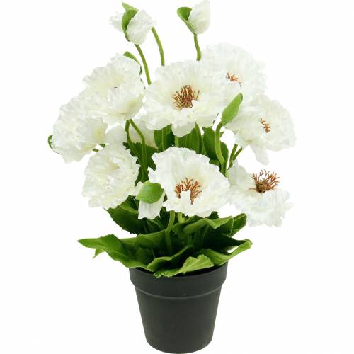 Unikko Potissa Valkoinen Silkki Kukat Kukka Koristelu