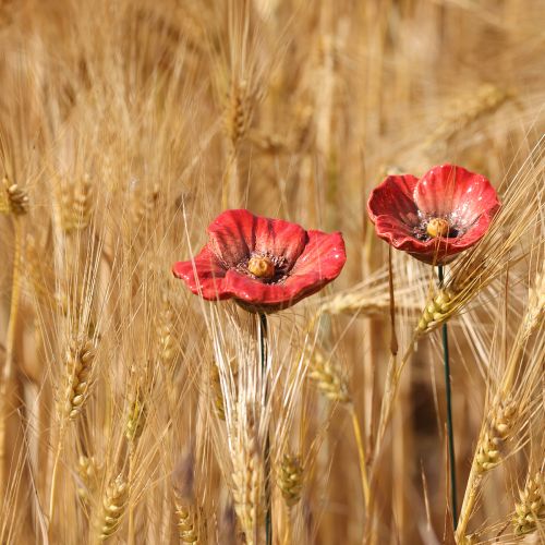 kohteita Keraaminen unikkokukka romanttinen koriste kevään puutarhaan ja kukkapenkkeihin 31 cm 6 kpl