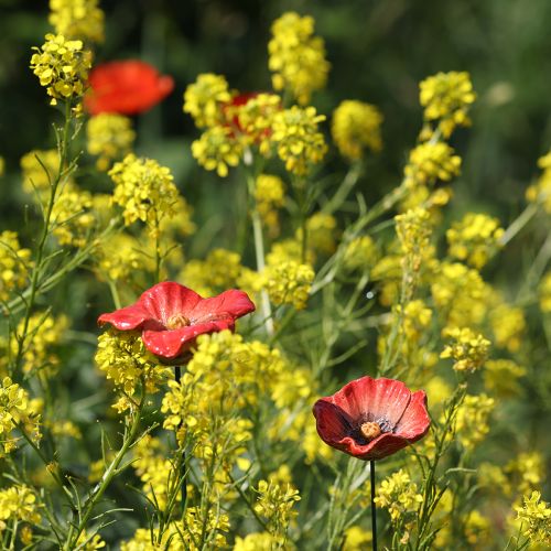 kohteita Puutarhakeppi unikko-keramiikkaa, epätavallinen muotoilu kukkapenkkeihin, 52 cm, 2 kpl