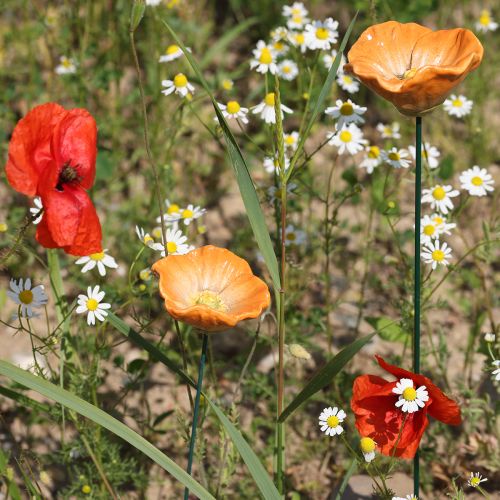 kohteita Unikkokukkakeppi, keraaminen kukka, rakkaudella yksityiskohtainen, elegantteihin puutarhakoristeisiin, 42 cm, 4 kpl