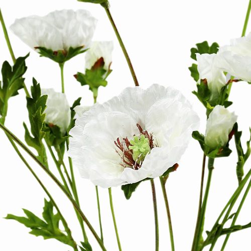 kohteita Unikonkukka ruusu valkoinen 3kpl