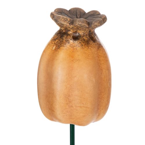 kohteita Puutarhavaarna unikonsiemenpalko - koristeellinen kohokohta puutarhan koristeluun ja tee-se-itse-projekteihin - 41 cm, 4 kpl -