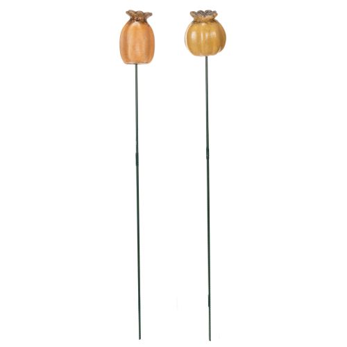 kohteita Puutarhavaarna unikonsiemenpalko - koristeellinen kohokohta puutarhan koristeluun ja tee-se-itse-projekteihin - 41 cm, 4 kpl -