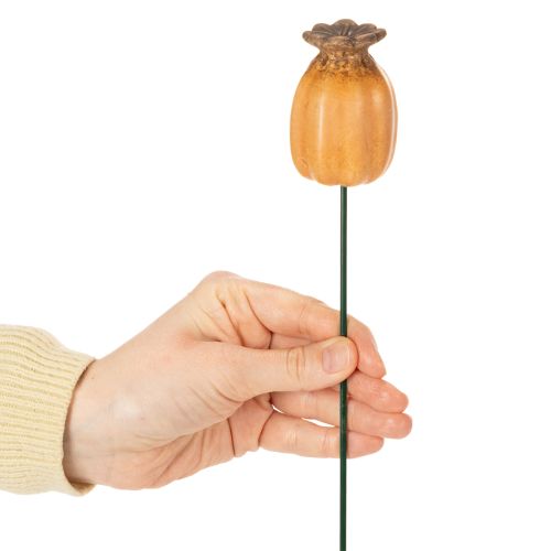 kohteita Puutarhavaarna unikonsiemenpalko - koristeellinen kohokohta puutarhan koristeluun ja tee-se-itse-projekteihin - 41 cm, 4 kpl -