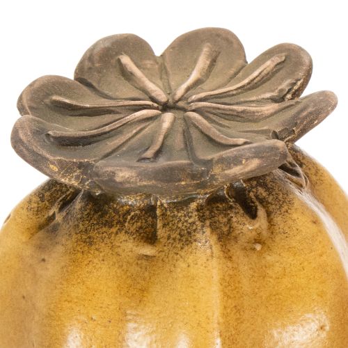 kohteita Puutarhakeppi unikonsiemenkapseli tyylikkääseen puutarhasuunnitteluun, kukkapenkkiin tai parvekkeelle, 60 cm, 2 kpl