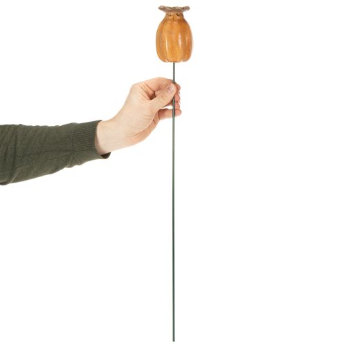 kohteita Puutarhakeppi unikonsiemenkapseli tyylikkääseen puutarhasuunnitteluun, kukkapenkkiin tai parvekkeelle, 60 cm, 2 kpl