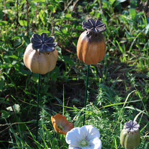 kohteita Puutarhakeppi unikonsiemenkapseli tyylikkääseen puutarhasuunnitteluun, kukkapenkkiin tai parvekkeelle, 60 cm, 2 kpl