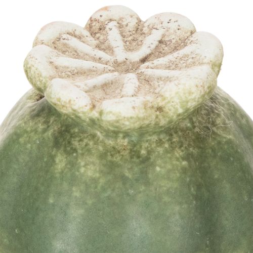 kohteita Unikonsiemenpalko koristekeppi puutarhan kausiluonteiseen eleganssiin tai parvekkeen kohokohtiin, 41 cm, 4 kpl