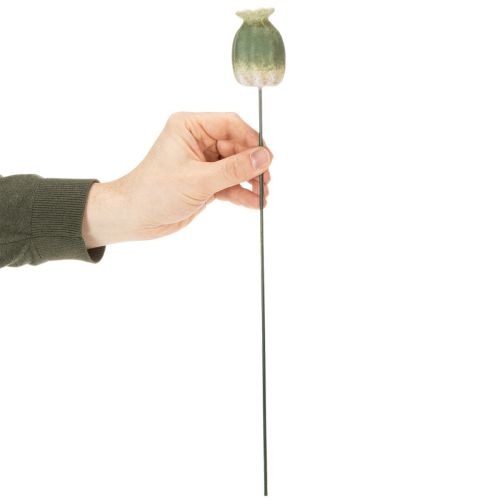 kohteita Unikonsiemenpalko koristekeppi puutarhan kausiluonteiseen eleganssiin tai parvekkeen kohokohtiin, 41 cm, 4 kpl