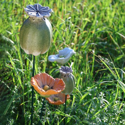 kohteita Unikonsiemenpalko koristekeppi puutarhan kausiluonteiseen eleganssiin tai parvekkeen kohokohtiin, 41 cm, 4 kpl