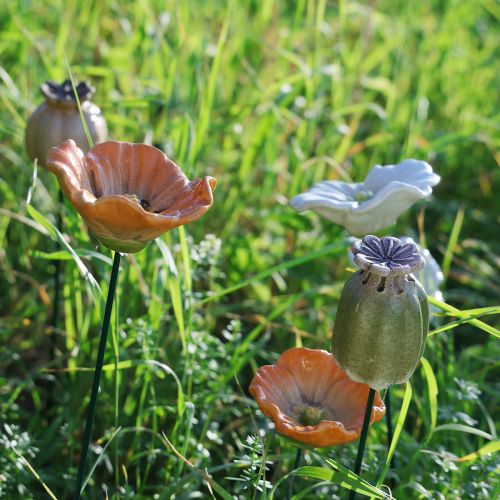 kohteita Unikonsiemenpalko koristekeppi puutarhan kausiluonteiseen eleganssiin tai parvekkeen kohokohtiin, 41 cm, 4 kpl