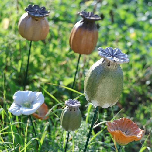 kohteita Unikonsiemenistä tehdyt puutarhakoristeet viehättäviin puutarha-asetelmiin 60 cm 2 kpl