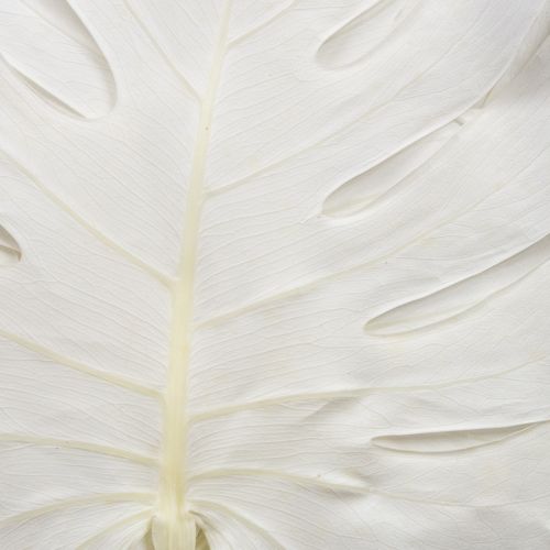 kohteita Valkaistuja peikonlehtiä, koristeellinen ikkunalehti, 40 cm korkea, 5 kpl