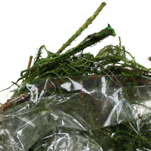 Floristik24 Sammal kulho vihreä Ø11cm K6.5cm - 7.5cm 5kpl