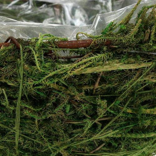 Floristik24 Sammal kulho vihreä Ø11cm K6.5cm - 7.5cm 5kpl